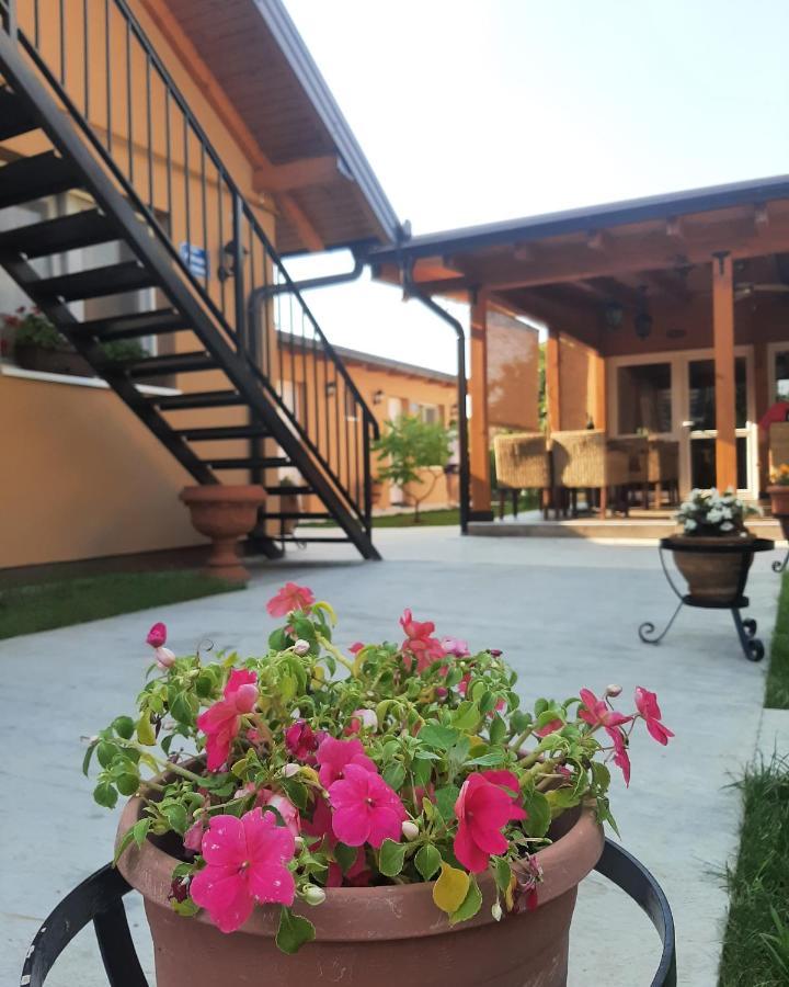 Villa Klara Novi Sad Exteriér fotografie
