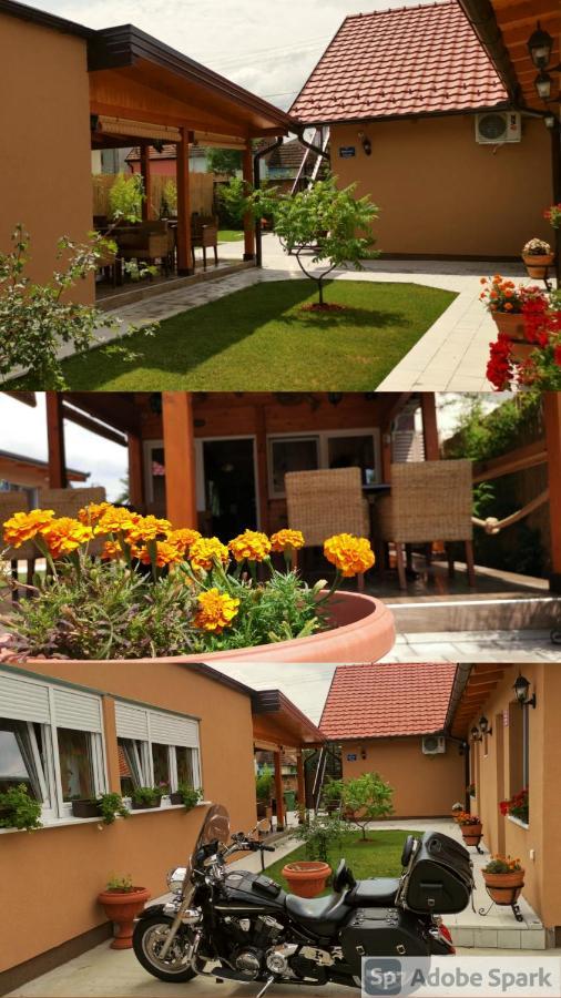 Villa Klara Novi Sad Exteriér fotografie