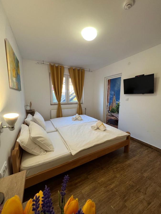 Villa Klara Novi Sad Exteriér fotografie